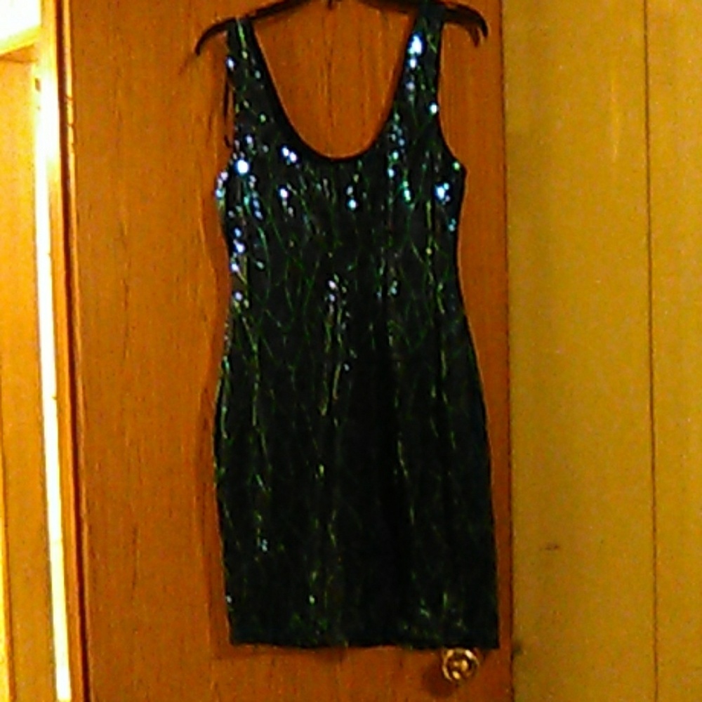 Lily rose blue/green sequin dress with tags